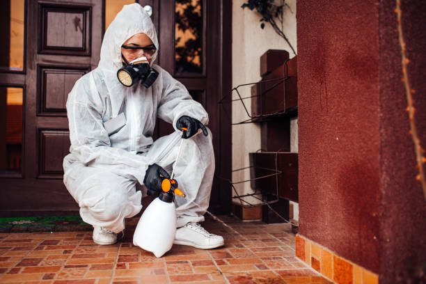 Reliable Cockroach Control contractor in Captain Cook, HI by Nex Pest Control