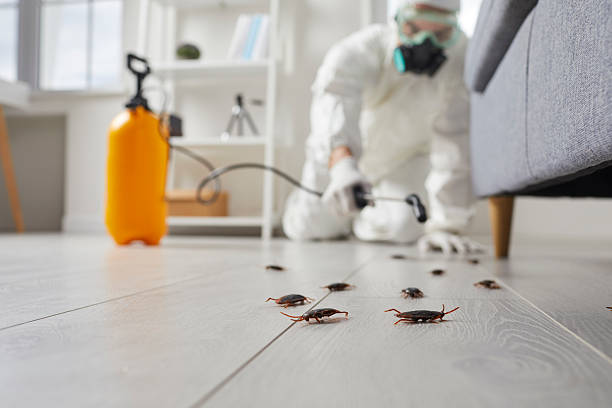 Trusted Fumigation Services service in Captain Cook, HI - Nex Pest Control
