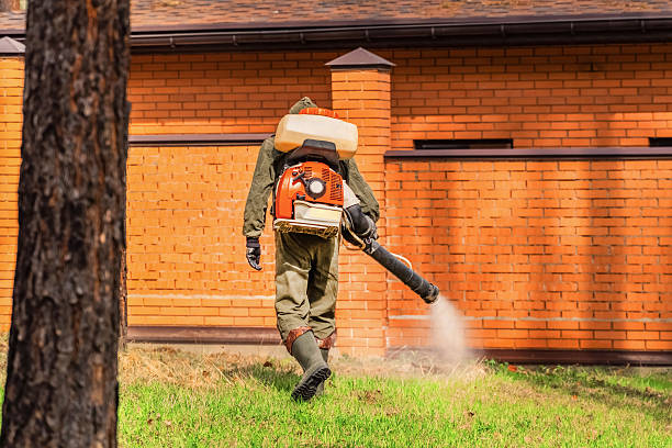 Trusted Termite Control service in Captain Cook, HI - Nex Pest Control